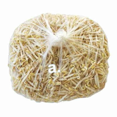 Soybean sprout 200g