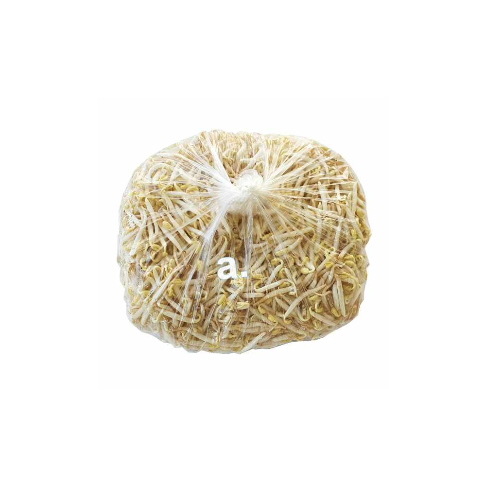 Soybean sprout 200g